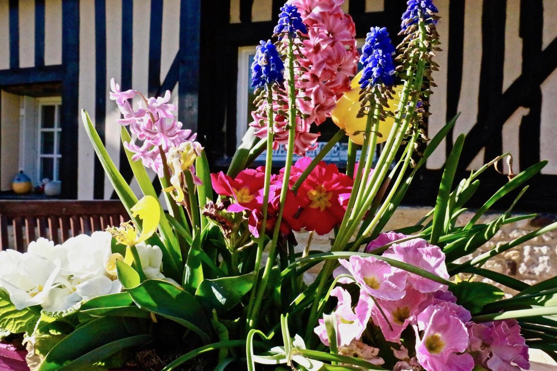 La Longere Deauville Bonneville-sur-Touques Экстерьер фото